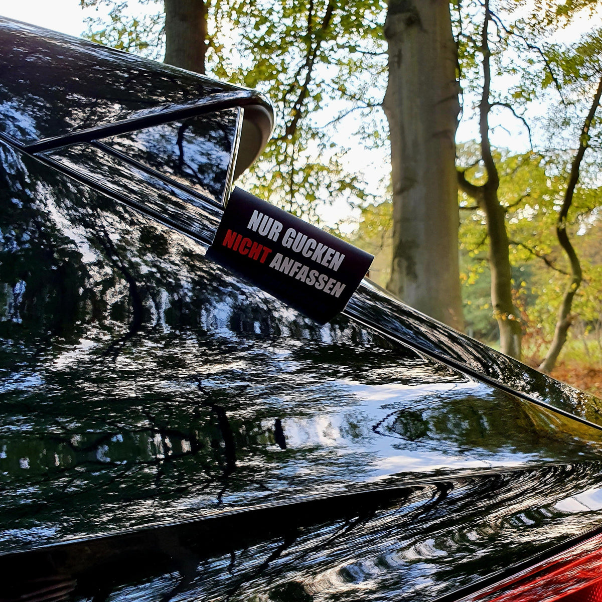 Nicht am Lack lecken! Nur gucken nicht anfassen! Carflag – Bild 2