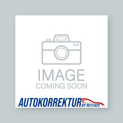 Scheinwerfercover passend für Mercedes Benz W253...